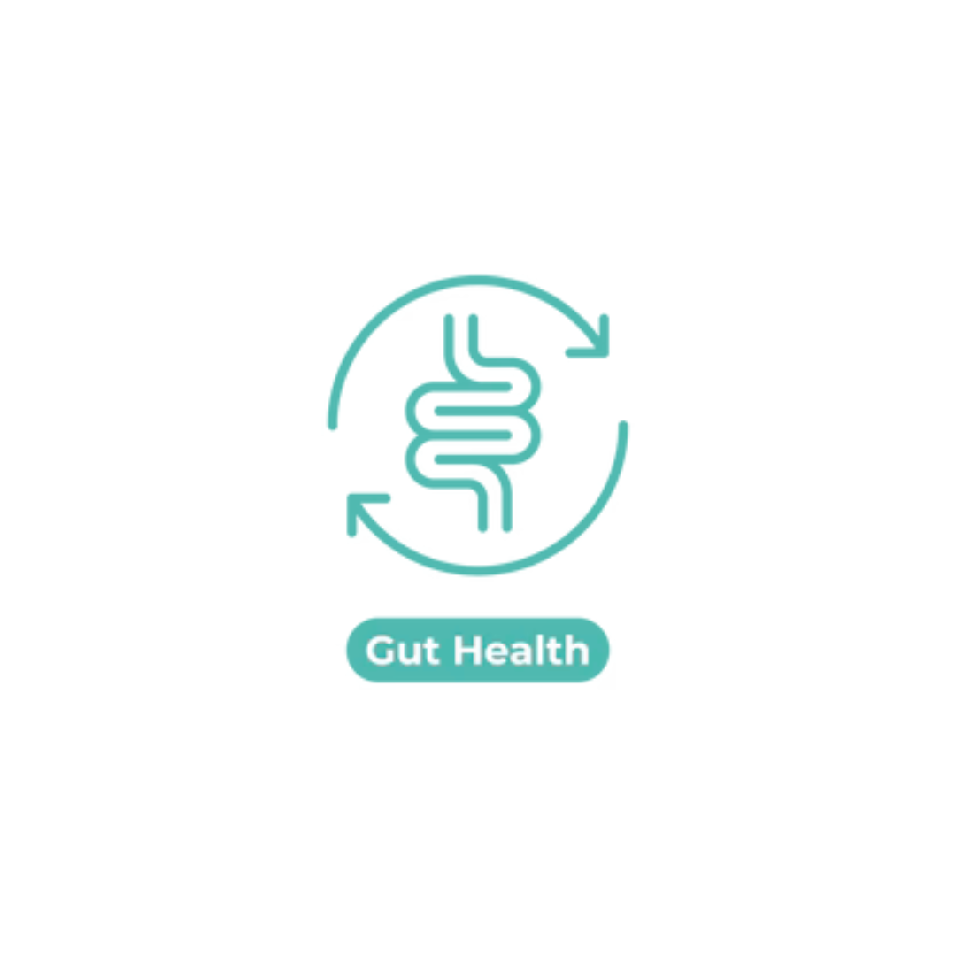 Gut Health